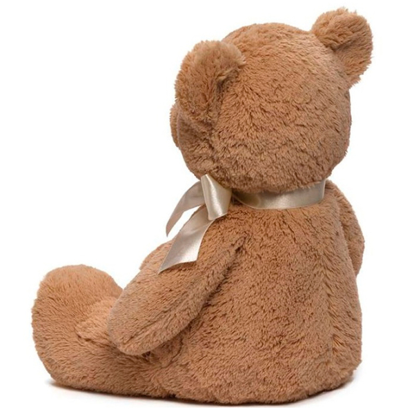 Мягкая игрушка Gund Animals My First Teddy 6048630 Коричневый 3+ photo 3