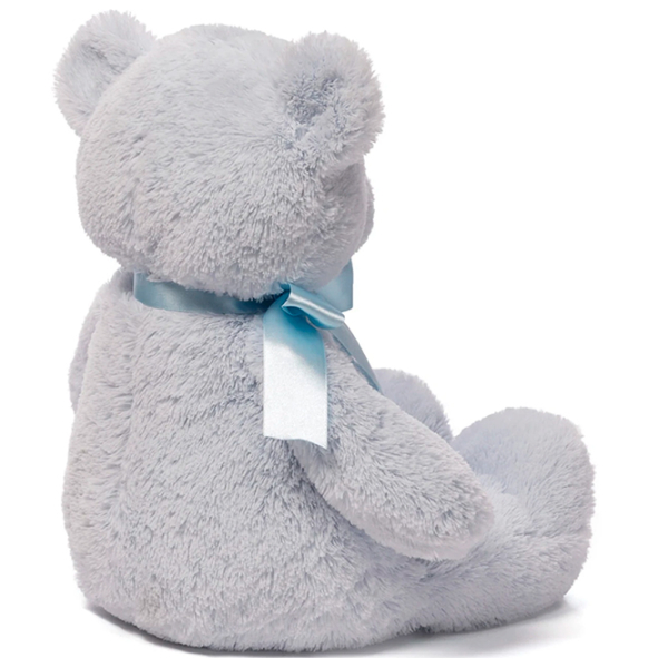 Мягкая игрушка Gund Animals My First Teddy 6048628 Синий 3+ photo 4