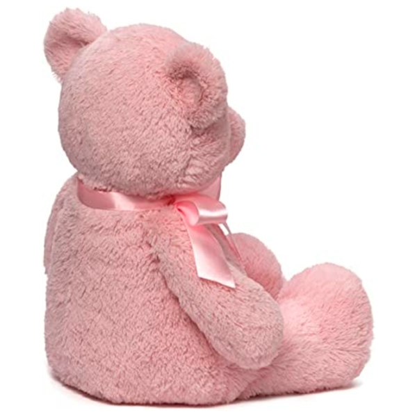 Мягкая игрушка Gund Animals My First Teddy 6048627 Розовый 3+ photo 2