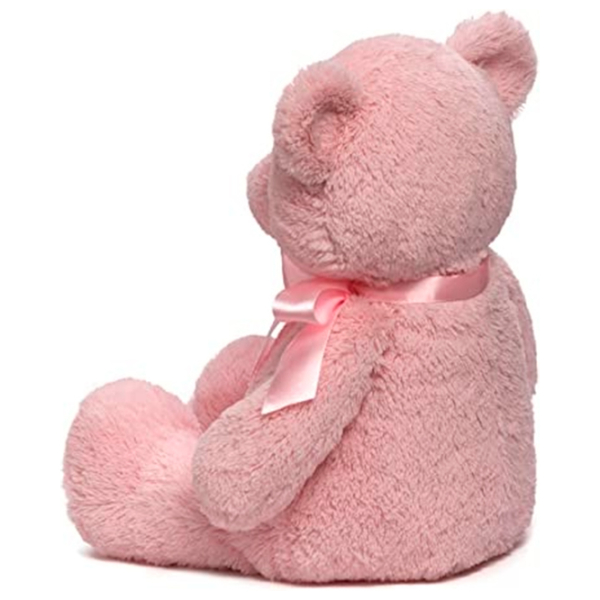 Мягкая игрушка Gund Animals My First Teddy 6048627 Розовый 3+ photo 3