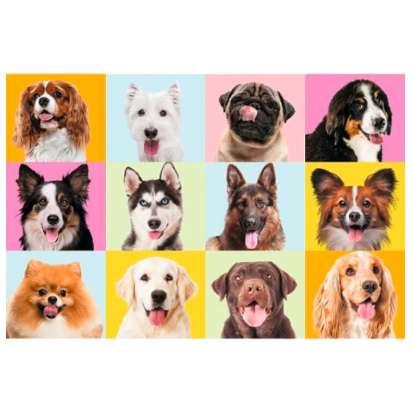 Puzzle Trefl Cute puppies (17374) Количество деталей: 60, Рекомендуемый возраст: 10+ photo 2