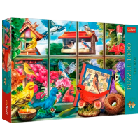 Puzzle Trefl The world of birds (10850) Количество деталей: 1000, Рекомендуемый возраст: 10+