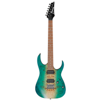 Chitară electrică Ibanez RG421PB CHF RG
Green , 4/4