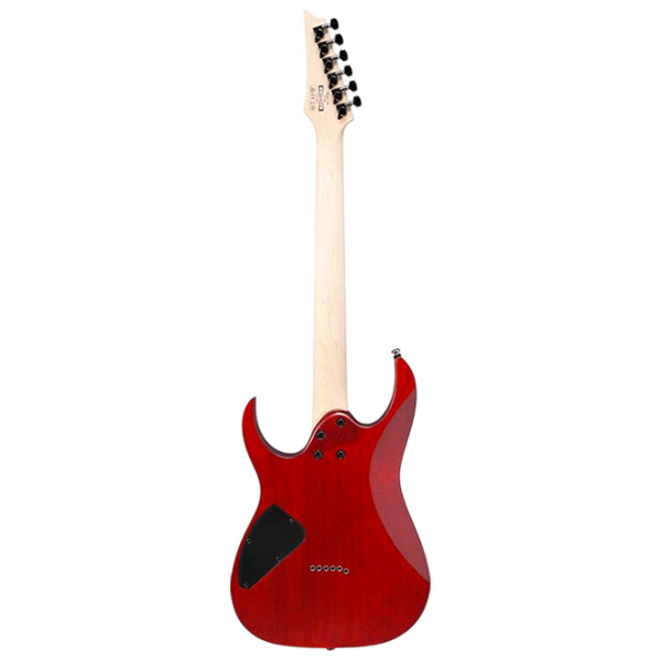 Chitară electrică Ibanez RG421PB CHF RG
Green , 4/4 photo 2