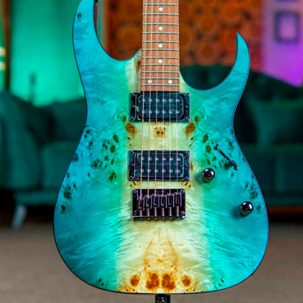 Chitară electrică Ibanez RG421PB CHF RG
Green , 4/4 photo 6