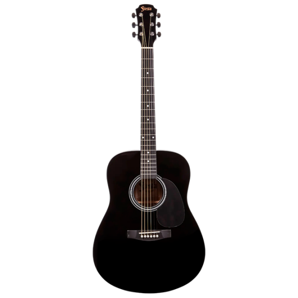 Chitară acustică Aria Fiesta Clasica 4/4 FST-300 Black Dreadnought, 4/4 photo 1