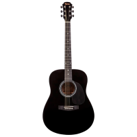 Chitară acustică Aria Fiesta Clasica 4/4 FST-300 Black Dreadnought, 4/4