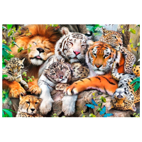 Puzzle Trefl The felines of the jungle (20152) Количество деталей: 501, Рекомендуемый возраст: 12+