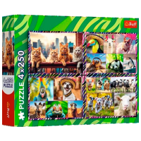 Puzzle Trefl Cute animals (13313) Numărul de piese: 1000, Vârsta recomandată: 6+