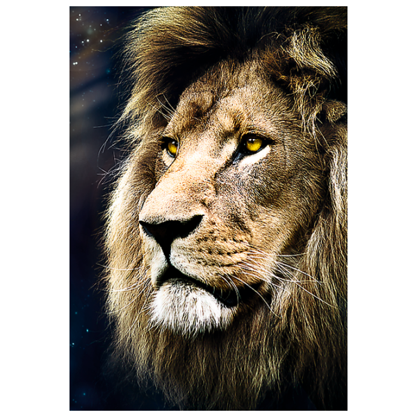 Puzzle Trefl Lions portrait (26139) Количество деталей: 1500, Рекомендуемый возраст: 12+ photo 3