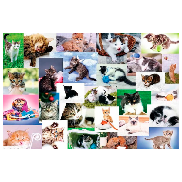 Puzzle Trefl Cat's World (17332) Количество деталей: 60, Рекомендуемый возраст: 4+ photo 1