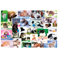 Puzzle Trefl Cat's World (17332) Количество деталей: 60, Рекомендуемый возраст: 4+