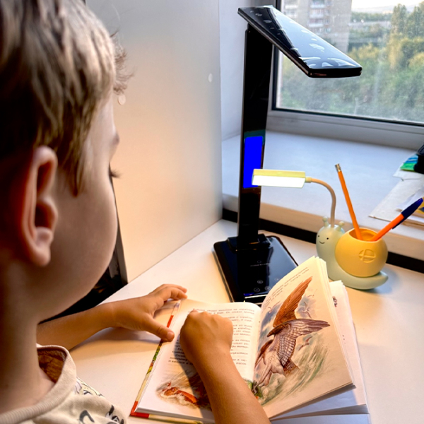 Lampă de masă Desk lamp TYV-1766 Black Rețea photo 5