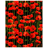 Pictură pe numere Richi 69724  50 x 40 cm, Pânză