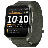 Умные часы Garmin Venu X1 Moss 2.0" | 51.2 мм | Титан/Нейлон
| 010-02980-03