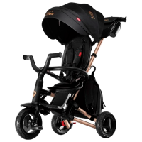 Трицикл Qplay Nova Plus Rubber Золото  Алюминий / Детский