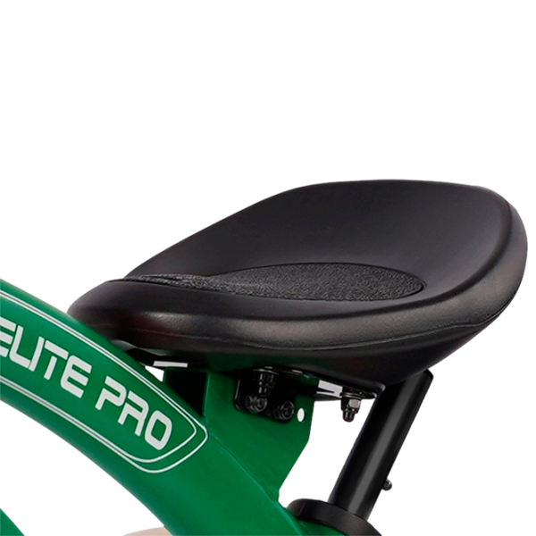 Triciclu Qplay Elite Pro Green  Metal / Pentru copii photo 9