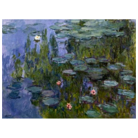 Puzzle Londji Nympheas Monet (PZ161) Numărul de piese: 150, Vârsta recomandată: 6+