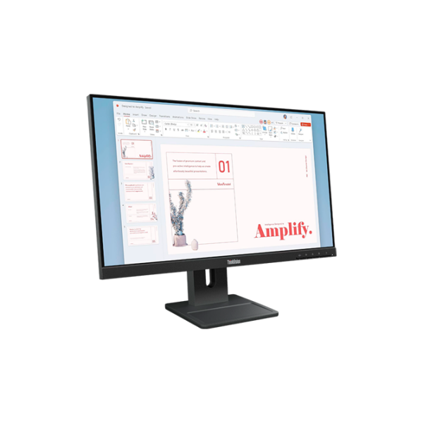 Монитор Lenovo ThinkVision E24-40 Черный 23.8" Full HD IPS WLED photo 3