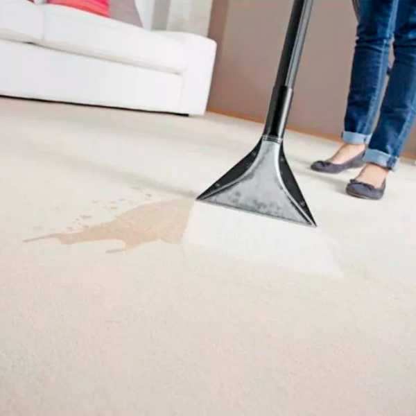 Aspirator cu spălare KARCHER SE5 + RM519 Black 1000 W | Umedă | Sac |  photo 2