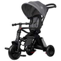 Triciclu Coccolle Alegra Gray  Metal / Pentru copii