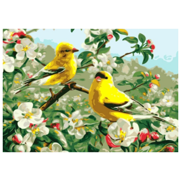 Pictură pe numere PRC Păsările primăverii 03949 50 x 40 cm, Pânză photo 1