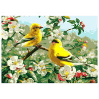 Pictură pe numere PRC Păsările primăverii 03949 50 x 40 cm, Pânză