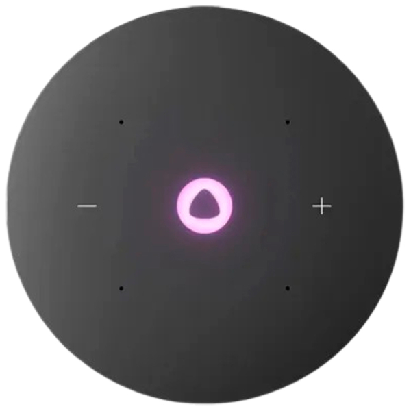 Boxă smart Yandex station Mini 3 Pro Gray  photo 4