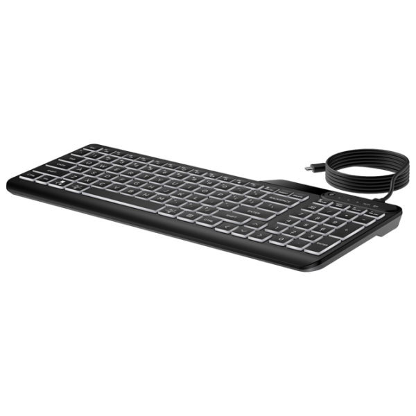 Клавиатура HP 400 Backlit Черный Для дома и офиса, Проводная photo 4