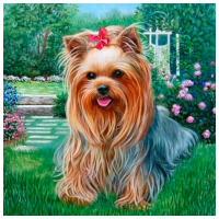 Pictură pe numere ChiToys KEK1103268  50 x 40 cm, Pânză