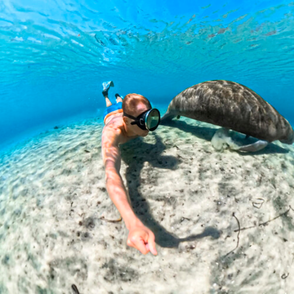 Чехол Insta360 X5 Invisible Dive Case Прозрачный  photo 6