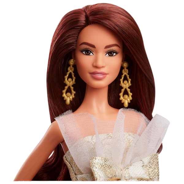 Кукла Mattel Latina модель JBH97 3+ photo 4