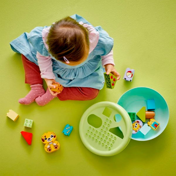 Constructor LEGO Shape Sorter: Puppy House Green Numărul de piese 17, 1.5+ photo 7