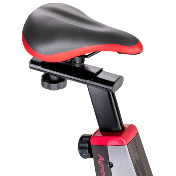 Bicicletă fitness Insportline Agneto Gray Red , 120 kg photo 4