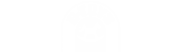 D-TOYS