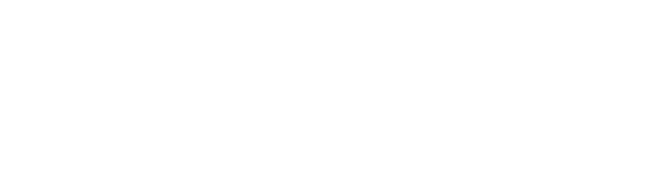 Zenet