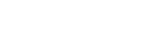 Wellskin