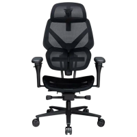 Scaun Gaming ThunderX3 Flex Pro Mesh TEGC-3076101.12 Black Gray 