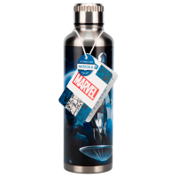 Sticlă pentru apă Paladone Fantastic Four Silver Surfer Metal Water Bottle Silver 0.5l