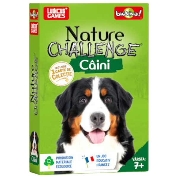 Развивающий набор Bioviva Nature Challenge: Dogs Развитие, 8+