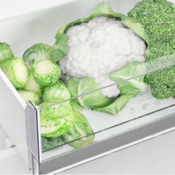 Frigider Gorenje RK418DPW4 White 198l / No Frost, 71l / No Frost, A++ photo 5