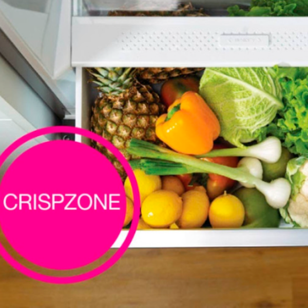 Frigider Gorenje RK418DPW4 White 198l / No Frost, 71l / No Frost, A++ photo 7