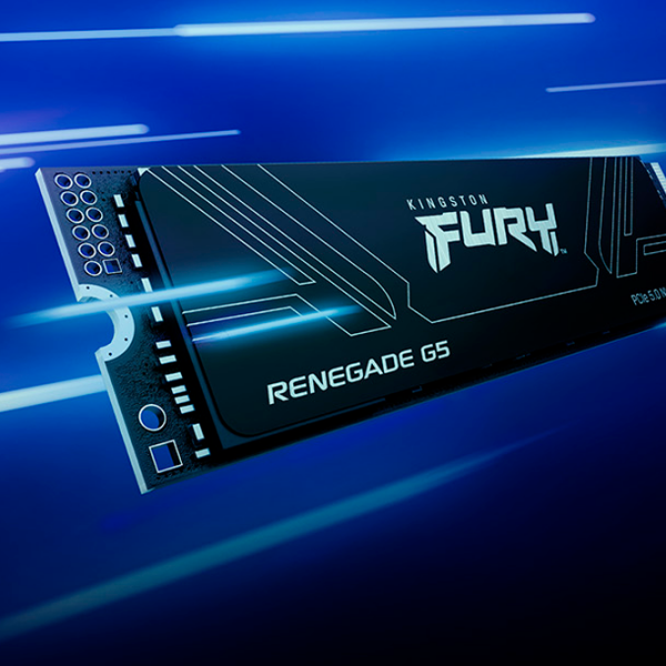 SSD Kingston Fury Renegade G5 M.2 NVMe 8 TB Viteza de citire: 14800 MB/s,
Viteza de inscriere: 14000 MB/s photo 4