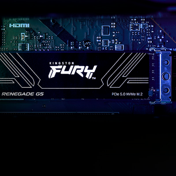 SSD Kingston Fury Renegade G5 M.2 NVMe 8 TB Viteza de citire: 14800 MB/s,
Viteza de inscriere: 14000 MB/s photo 5
