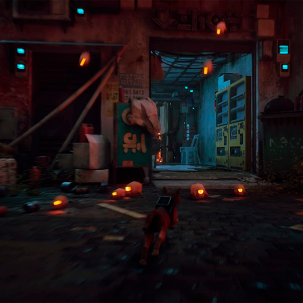  Stray PlayStation 5 Adventure / 12+ photo 7