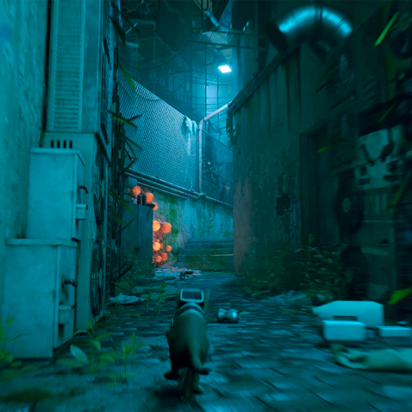  Stray PlayStation 5 Adventure / 12+ photo 8