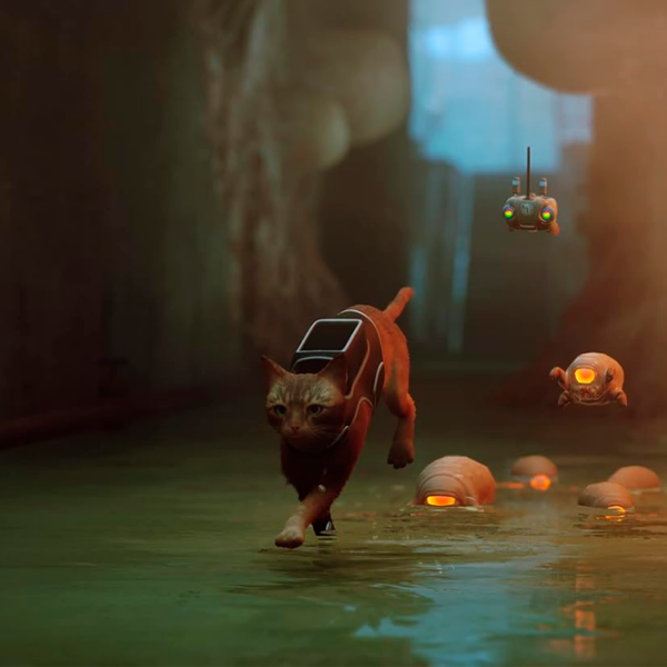  Stray PlayStation 5 Adventure / 12+ photo 9