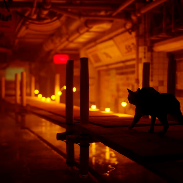  Stray PlayStation 5 Adventure / 12+ photo 11