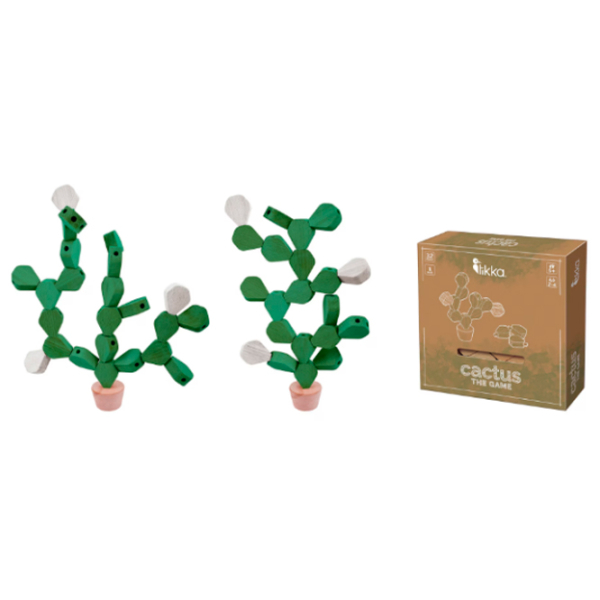 Set de creație Toys outlet Cactus 074317 Green Pentru copii, 6+ photo 4