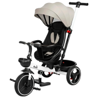 Triciclu Caretero Dash Gray  Metal / Pentru copii